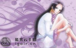 女帝哪些技能可以石化敌人 航海王燃烧意志12月17日每日一题答案