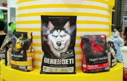 全球易供首次亮相2021ChinaJoy,现场实力圈粉养宠玩家 全球易供首次亮相2021ChinaJoy,现场实力圈粉养宠玩家