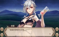 《姬魔恋战纪》与杏骸的真心谈话! 《姬魔恋战纪》与杏骸的真心谈话!